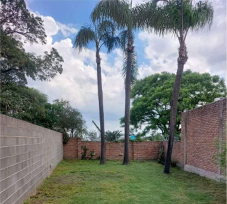 Poda de Arboles Angel