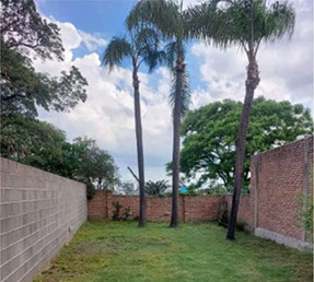 Poda de Arboles Angel